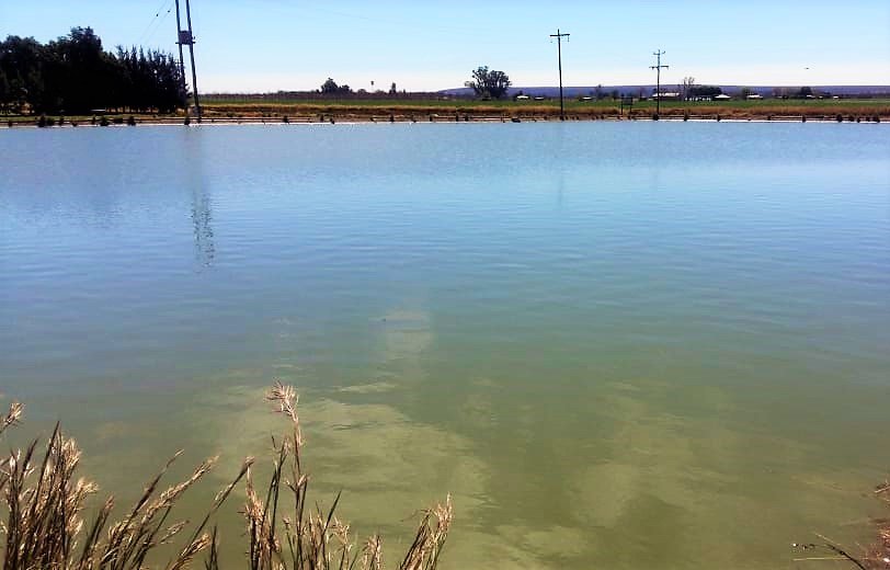 Commercial Property for Sale in Hartswater Rural Northern Cape